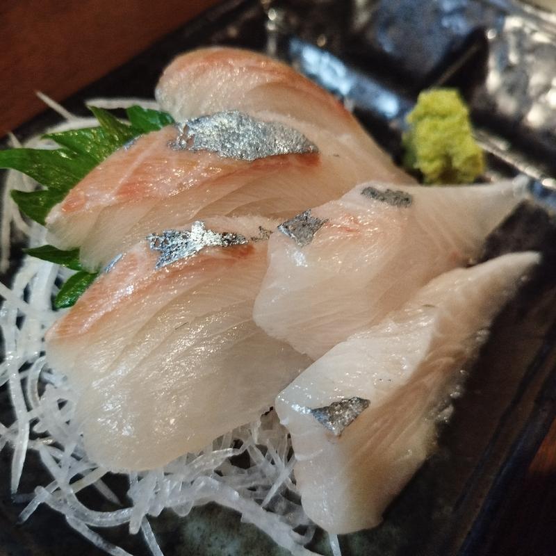 縞鯵の刺身(やきとり 麻生)