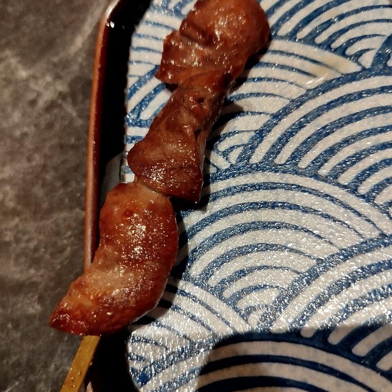 (鳥居炭火焼鳥居酒屋文龍店)