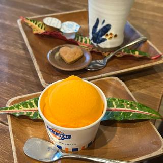 マンゴーアイスセット