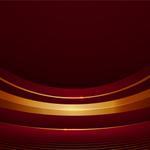 ゴロゴロいか天ぷら