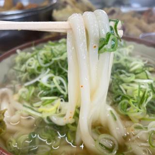 素うどん（大盛り）