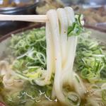 素うどん（大盛り）(牧のうどん 片江店)