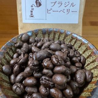 ブラジル ブルボン ピーベリー クラシコ(備長炭焙煎 中村珈琲)