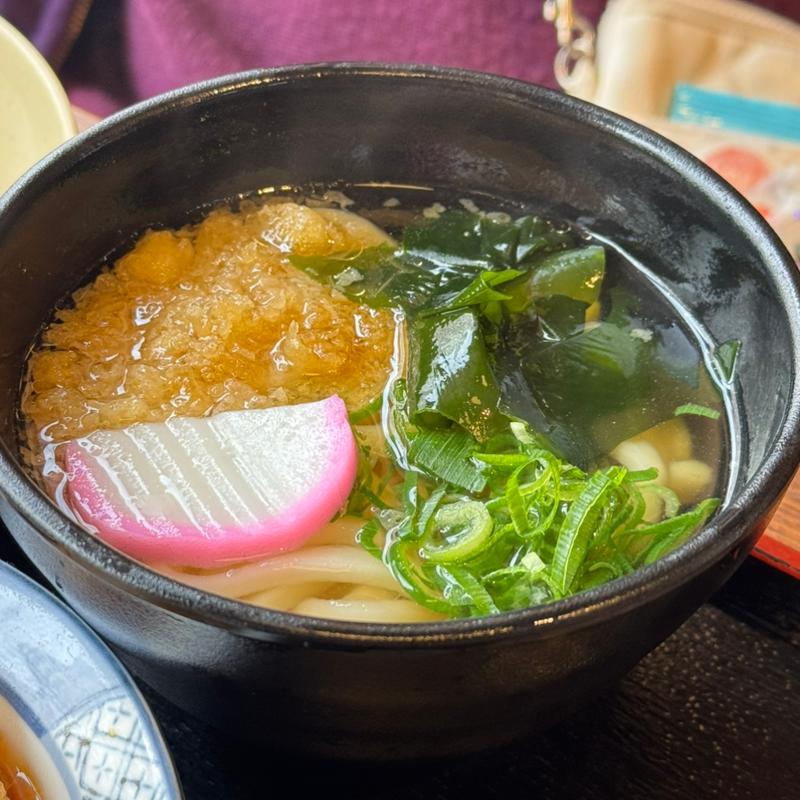 ミニうどん(ザめしや 神戸玉津)