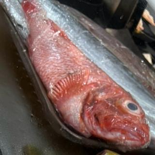 ノドグロ(鮨 やま乃)