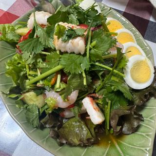 パクチーサラダ(いなかむら )