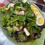 パクチーサラダ