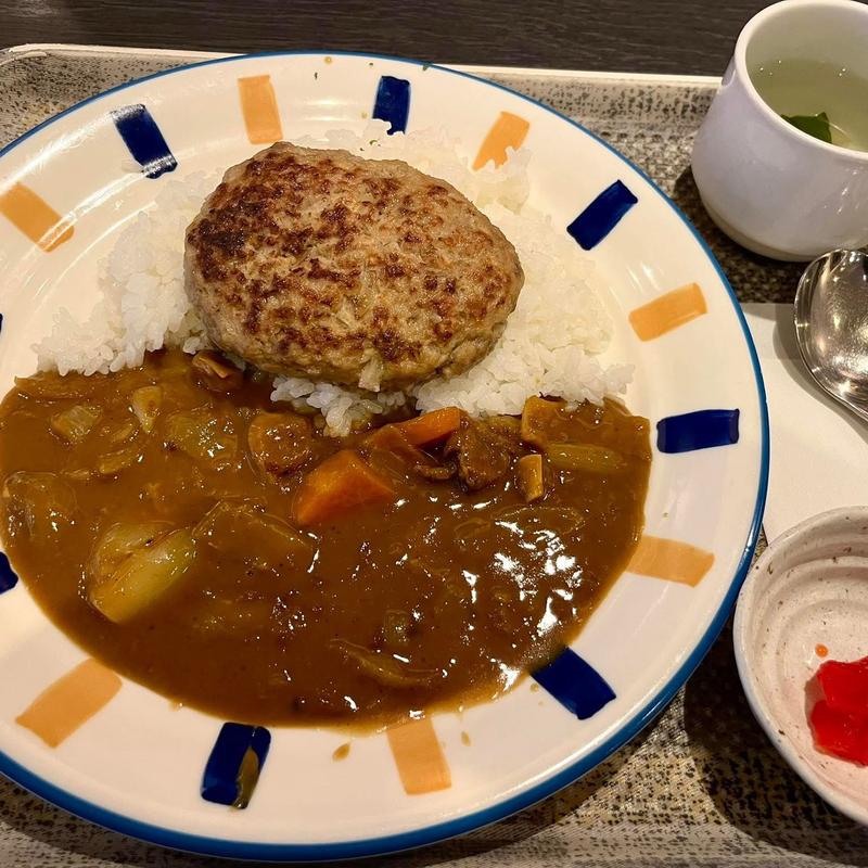 ハンバーグカレー(からさわ)