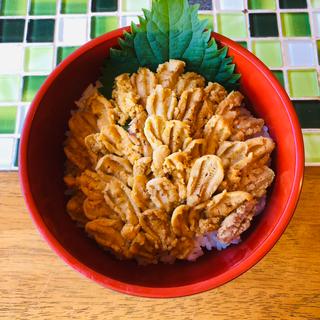 冬の紫雲丹丼_うに丼定食(ドライブイン潮騒 )