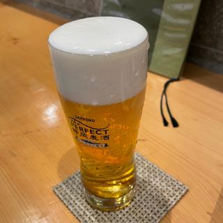 生ビール サッポロビール 静岡麦酒(仲見世 いわい)