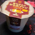 昔ながらのかためプリン
