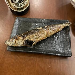 究極のイワシ大