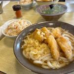 ごぼう天うどん