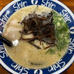 ラーメン(博多ラーメン　Shin Shin アミュプラザ小倉店)