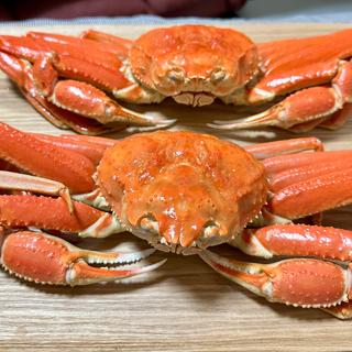 ズワイガニ(甲羅組本店 （コウラグミ）)