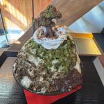 抹茶ほうじ茶盆栽氷