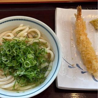 かけ小と海老天