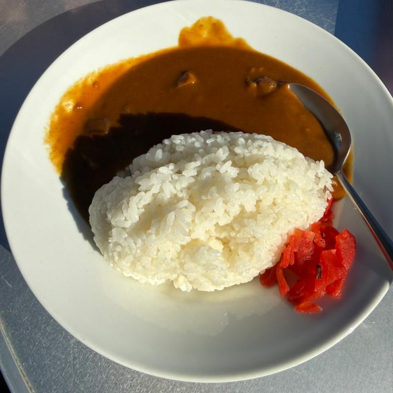 カレーライス(とちのきファミリーランド 売店 )