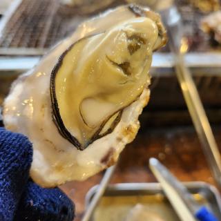 みるく牡蠣