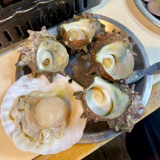 さざえ、ホタテ