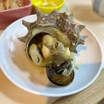 さざえ(浜茶屋網元 )