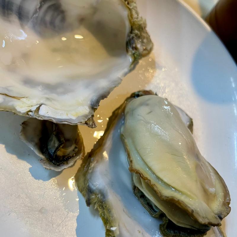 焼きカキ(浜茶屋網元 )