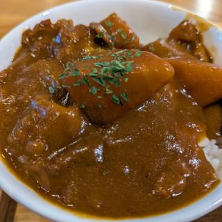 yamagoカレー（本日のおすすめ飯）(中華そば 肴 yamago(ヤマゴ))