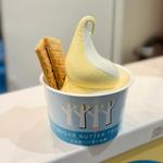  シュガーバターの木 ソフトクリーム