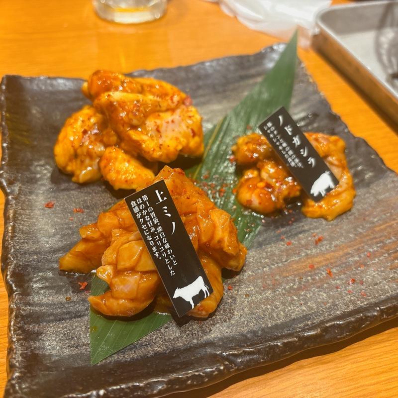 ホルモン盛り合わせ≪赤／秘伝のタレ≫(ホルモン焼肉　ぶち 川越店 )