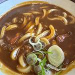 カレー南蛮うどん