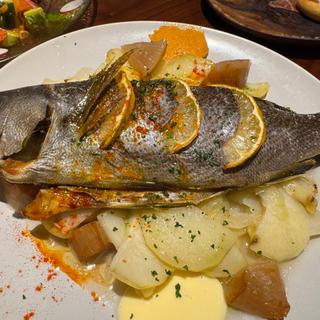 (ボデガチャト)