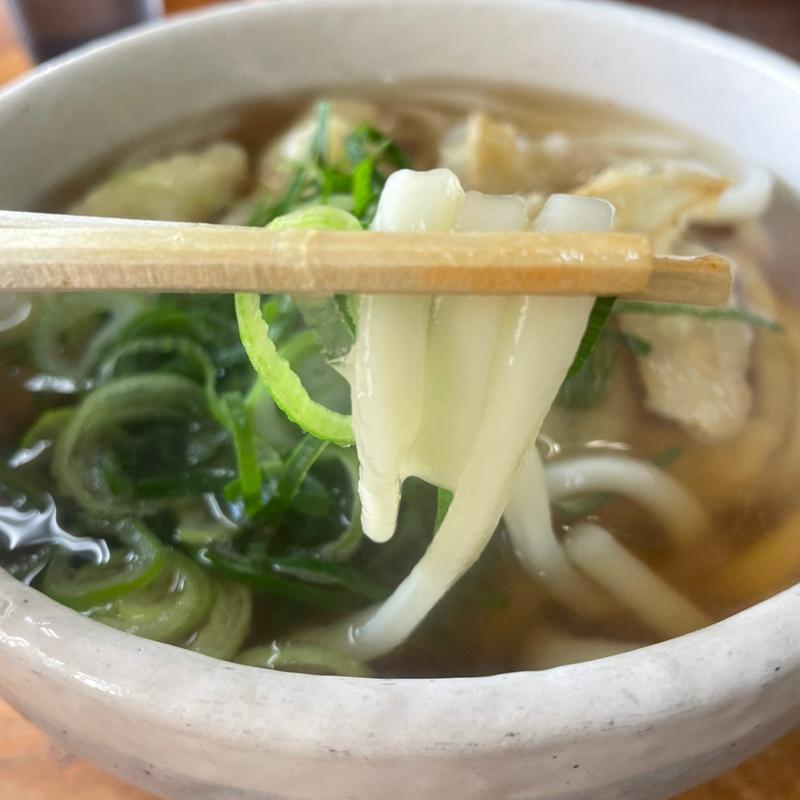 ごぼう天うどん(天ぷらうどん)