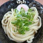 肉おろしぶっかけ冷