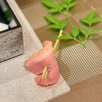 御夕食　鴨の白味噌漬け(三河屋旅館 )