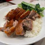 ご飯一種肉盛り