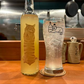 ねこのさけ(ソーダ割り)(猫バル喜翔)