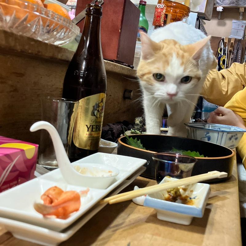 イカ刺し(家庭料理順子)