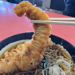 いかげそ天蕎麦