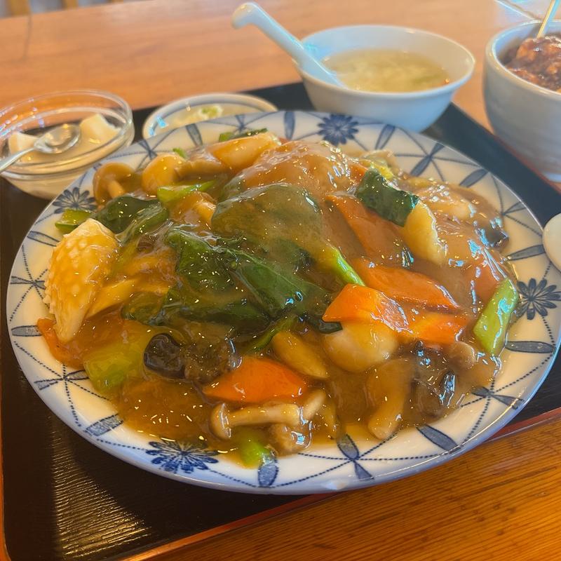 五目あんかけ焼きそば(楽苑)