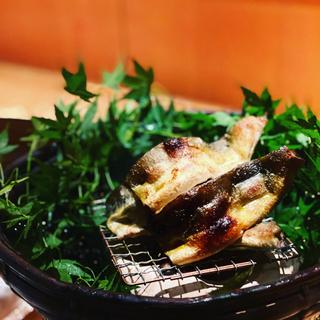 鮎(御料理 堀川)