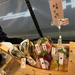 刺身5点盛　生かき2個付