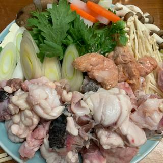 国内産天然活き伊勢海老&真鯛と旬のお刺身・天麩羅と各種鍋物の祝宴コース！(魚料理 遠州屋)