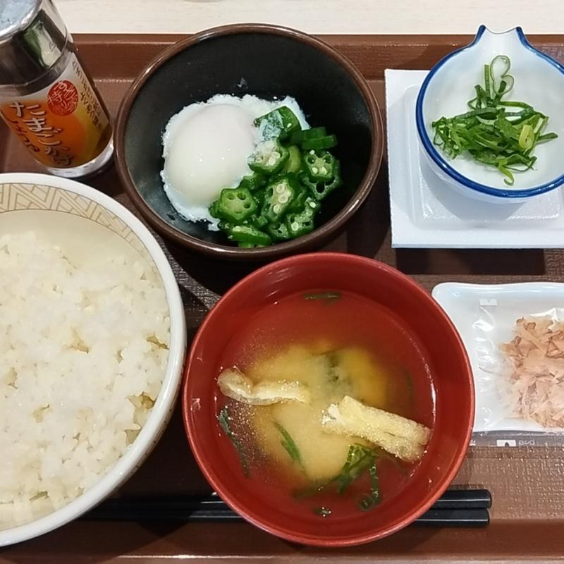 納豆まぜのっけ朝食 並(すき家 葛飾亀有一丁目店)