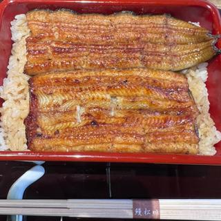 鰻重（桜）(恵比寿鰻松川)