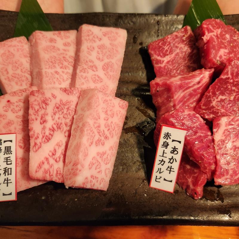 (焼肉たなきち)