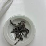 塩昆布(六花亭 森林公園店)