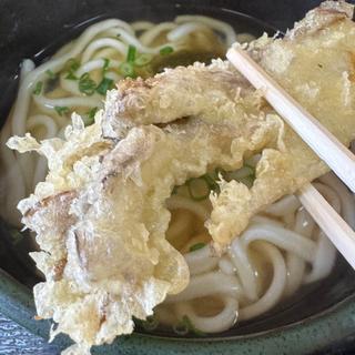 季節の野菜天うどん