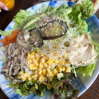 サラダ(Plant-Based Restaurant がじまる)