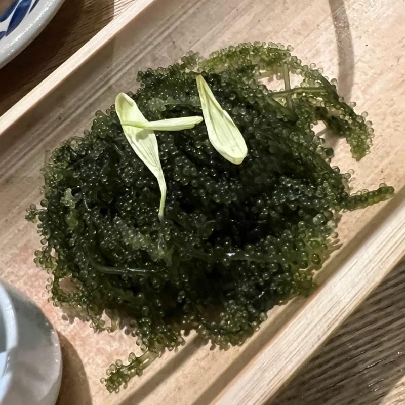 海ぶどう(沖縄の台所ぱいかじ 恩納本店)