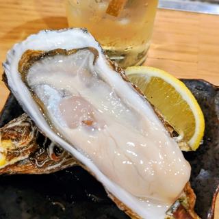 殻付き生牡蠣(サロマ)(魚と酒はなたれ 野毛五番街店)